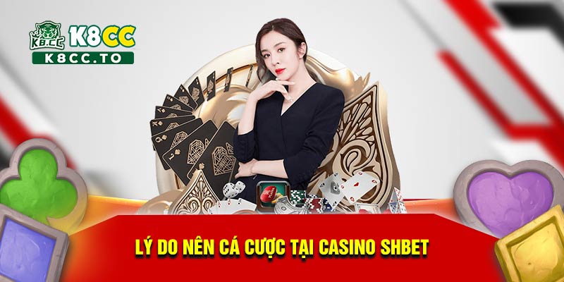 Lý do nên cá cược tại Casino Shbet